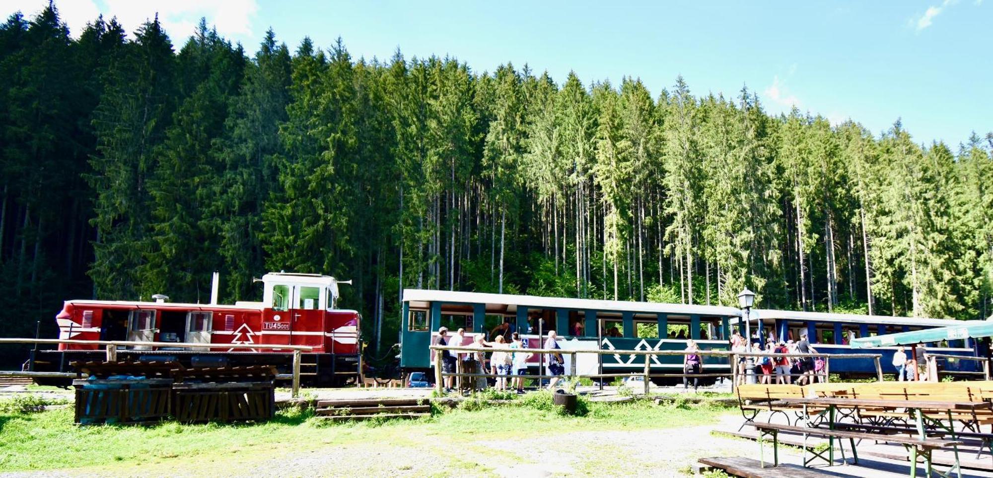 Drevenica Emilka, 5 Min Restauracia, Z Terasy Vyhlad Na Kralovu Holu A Polomske Ocko, Gril, Ohnisko, Kotlik Villa Brezno Buitenkant foto